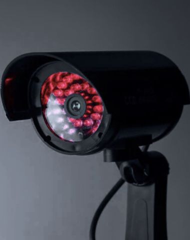 Surveillance & Response